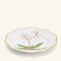 pinto paris histoires d orchidees dinner plate 26cm