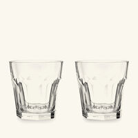baccarat harcourt drinking glass clear set of 2