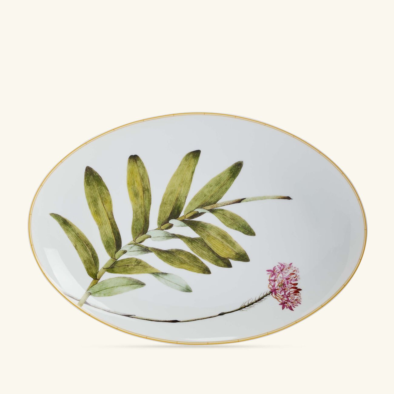 bernardaud jardin indien serving platter oval white 38cm