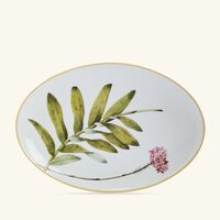 bernardaud jardin indien serving platter oval white 38cm