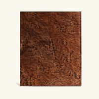 آسولين كتاب إبل المملكة العربية السعودية 48x39 سم