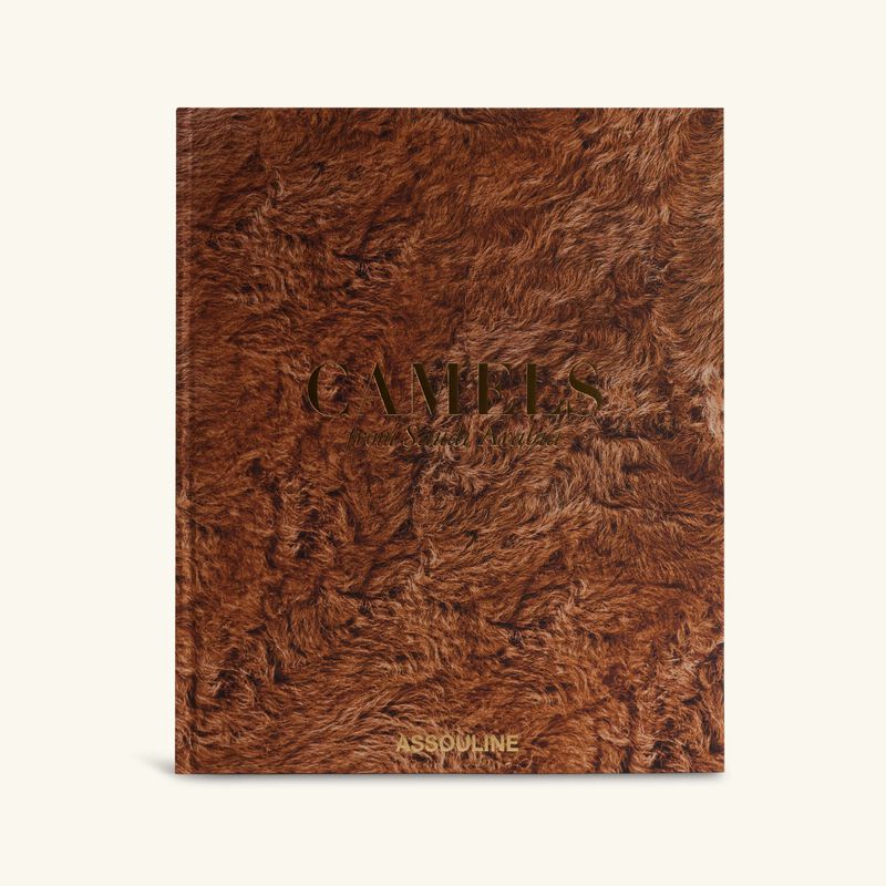 آسولين كتاب إبل المملكة العربية السعودية 48x39 سم