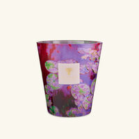 شمعة ووتر ليلي المعطرة ماكس 16 باوباب شمعة ووتر ليلي المعطرة ماكس 16