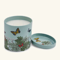 fornasetti farfalle e balaustra candle 1kg