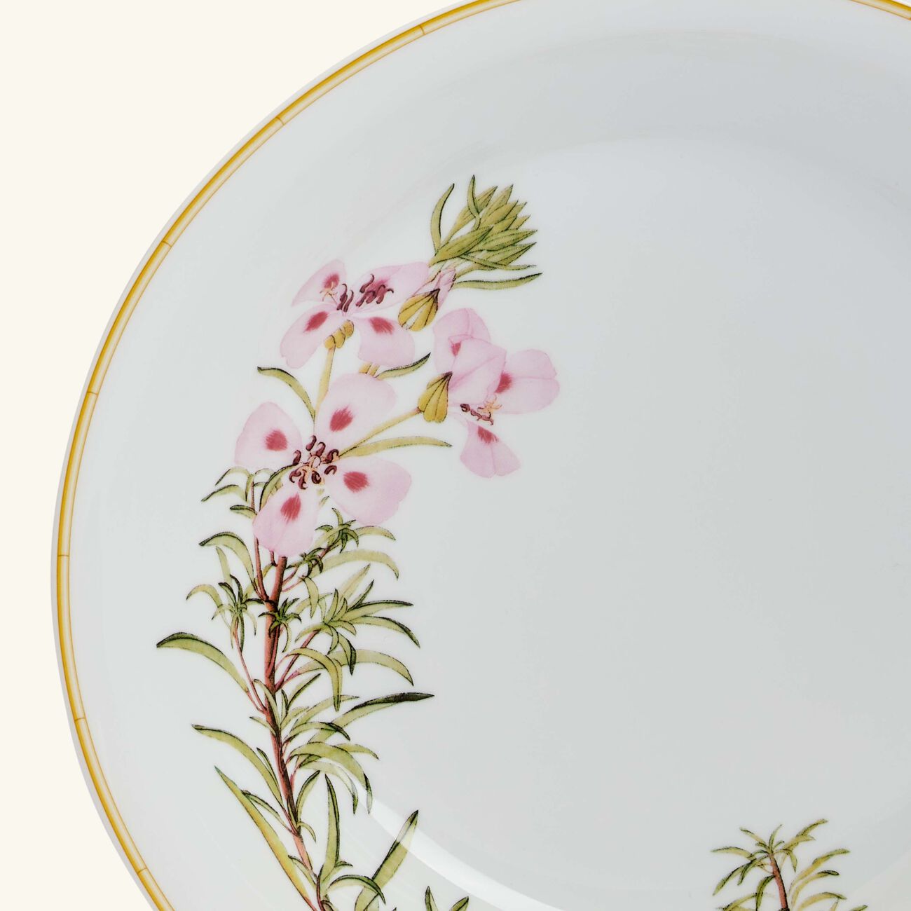 Jardin Indien Open Vegetable Bowl Green 24cm bernardaud jardin indien open vegetable bowl green 24cm