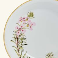 Jardin Indien Open Vegetable Bowl Green 24cm bernardaud jardin indien open vegetable bowl green 24cm