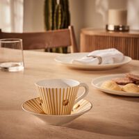 bernardaud delphos brick tea cup   saucer pattern