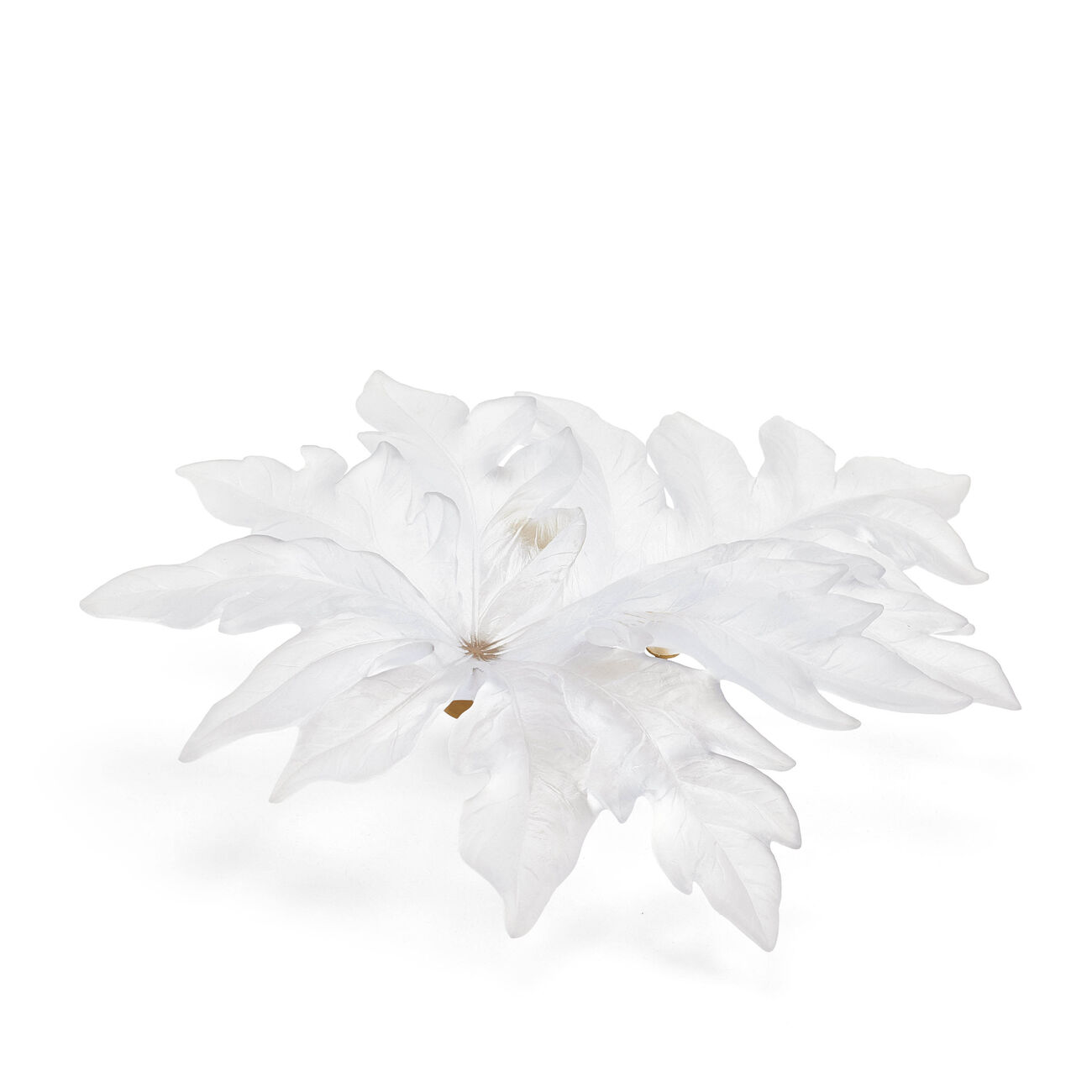 دوم منحوتة بورنيو الجدارية الكبيرة على شكل ورقة شجر بيضاء