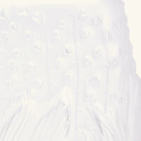 لاليك مزهرية بوتانيكا متوسطة شفافة