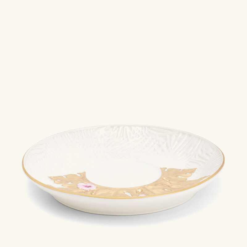 فنجان الكابوتشينو أكابولكو مع صحنه شفاف فيلاري فنجان الكابوتشينو أكابولكو مع صحنه شفاف