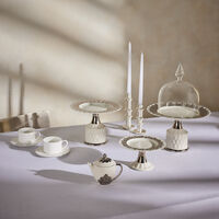 Peacock Large Cake Stand villari peacock large cake stand