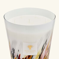 باوباب شمعة رينفورست تانجونغ ماكسي ماكس