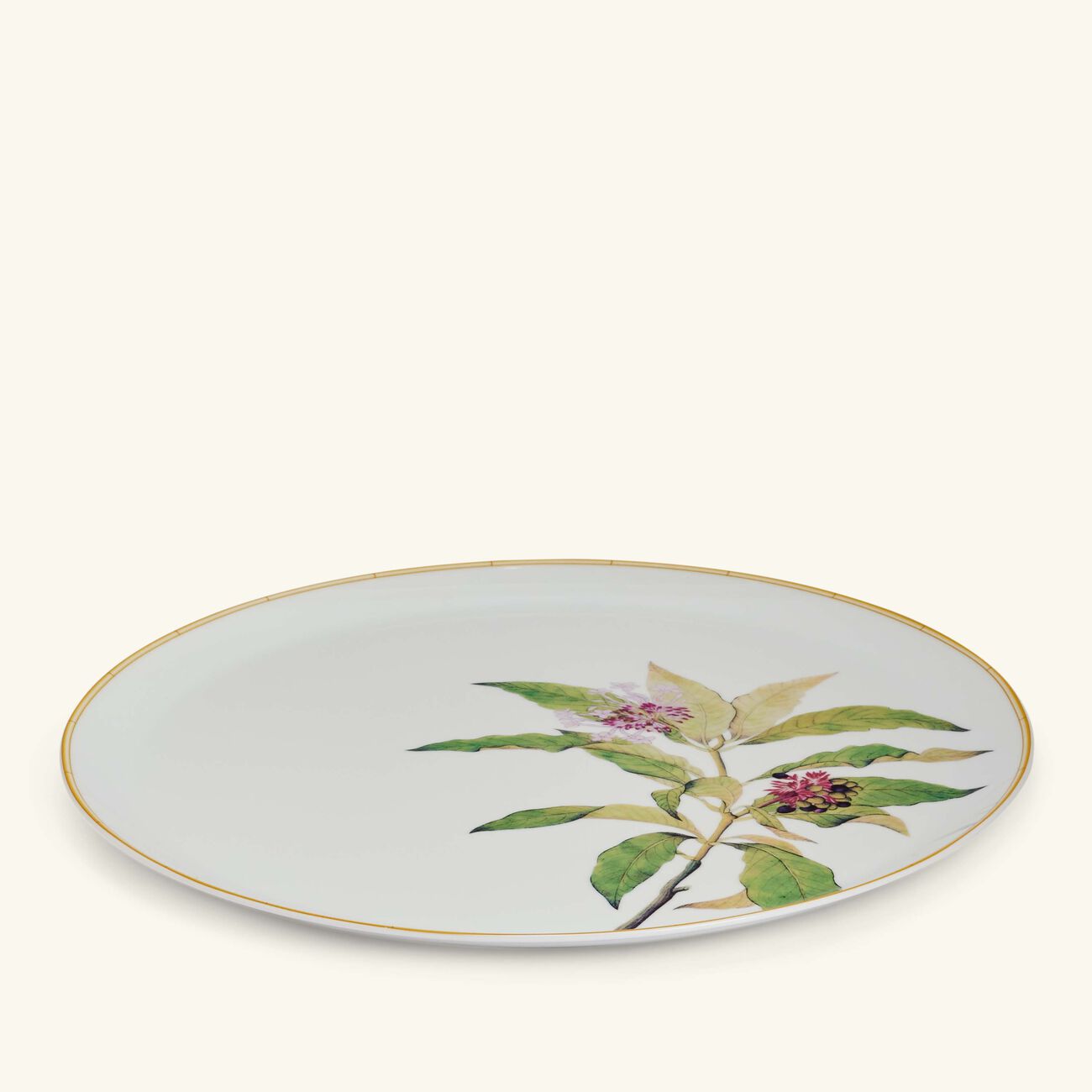 bernardaud jardin indien serving platter round green 32cm