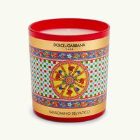 دولتشي أند غابانا كازا شمعة وايلد جاسمين