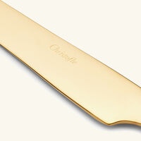 سكين الحلويات لام دو كريستوفل باللون الذهبي