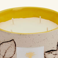 Folia Calanque Candle Max 10 baobab collection folia calanque candle max 10