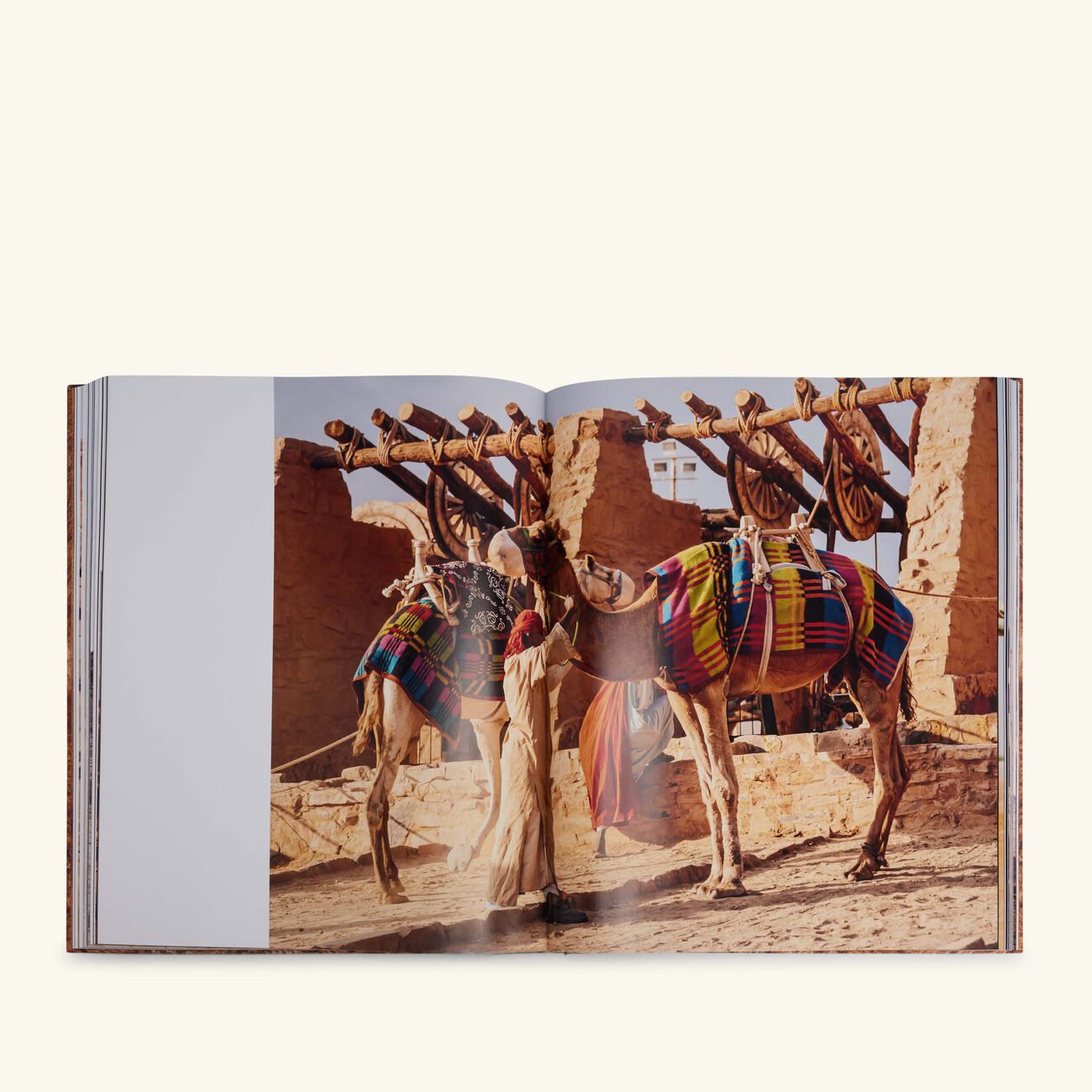 آسولين كتاب إبل المملكة العربية السعودية 48x39 سم