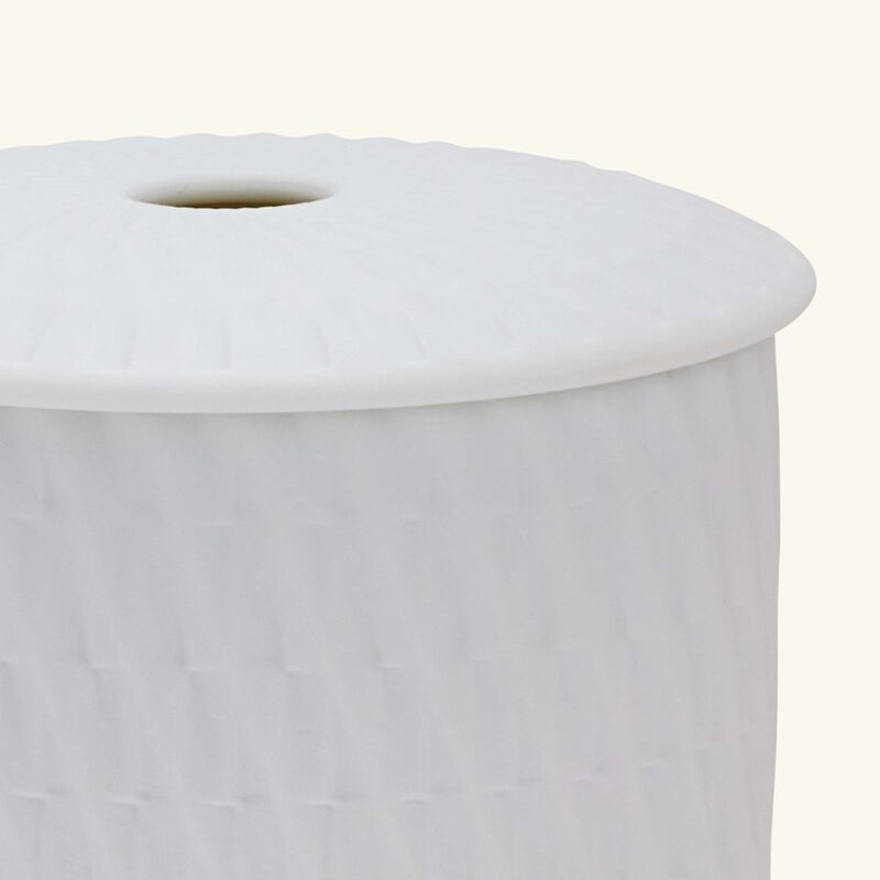 bernardaud twist diffuser