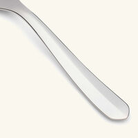 كريستوفل شوكة إنفيني متعددة الاستخدامات متوسطة باللون الفضي