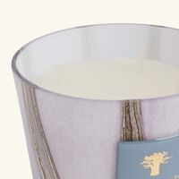 Woods Broceliande Candle Max 10 baobab collection woods broceliande candle max 10