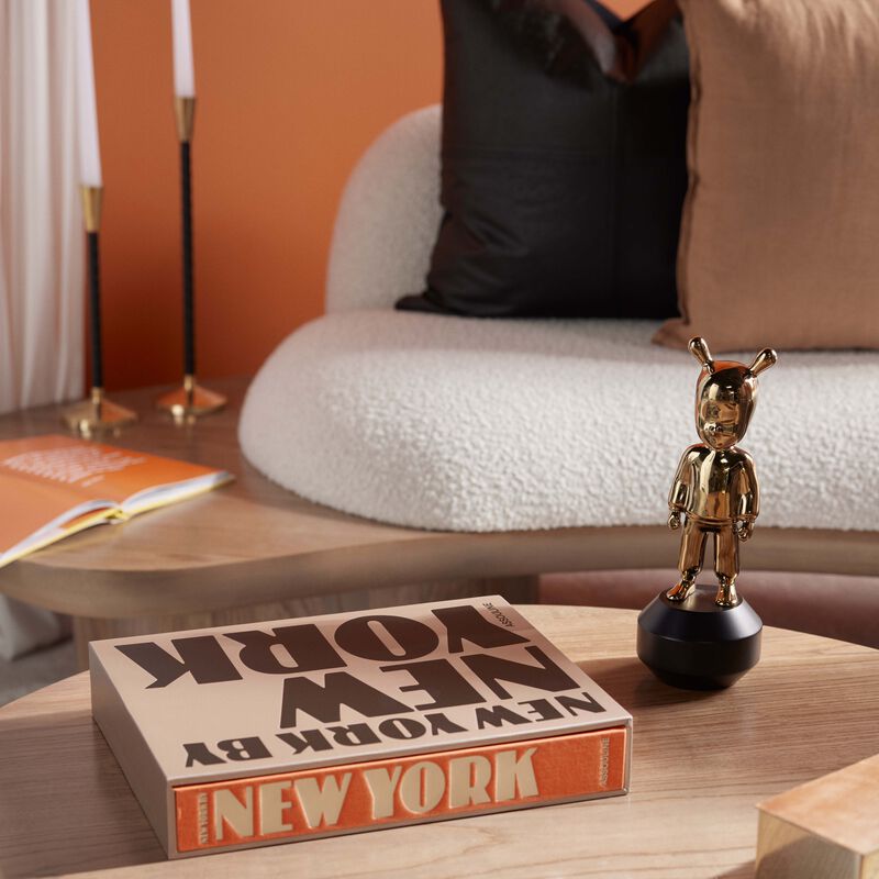 آسولين كتاب نيويورك باي نيويورك 33 25 سم