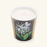 Natura Jonquille de Mer Tumbler with Candle bernardaud natura jonquille de mer tumbler with candle