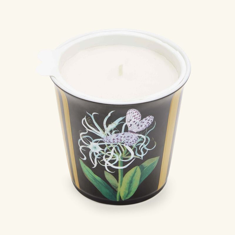 Natura Jonquille de Mer Tumbler with Candle bernardaud natura jonquille de mer tumbler with candle