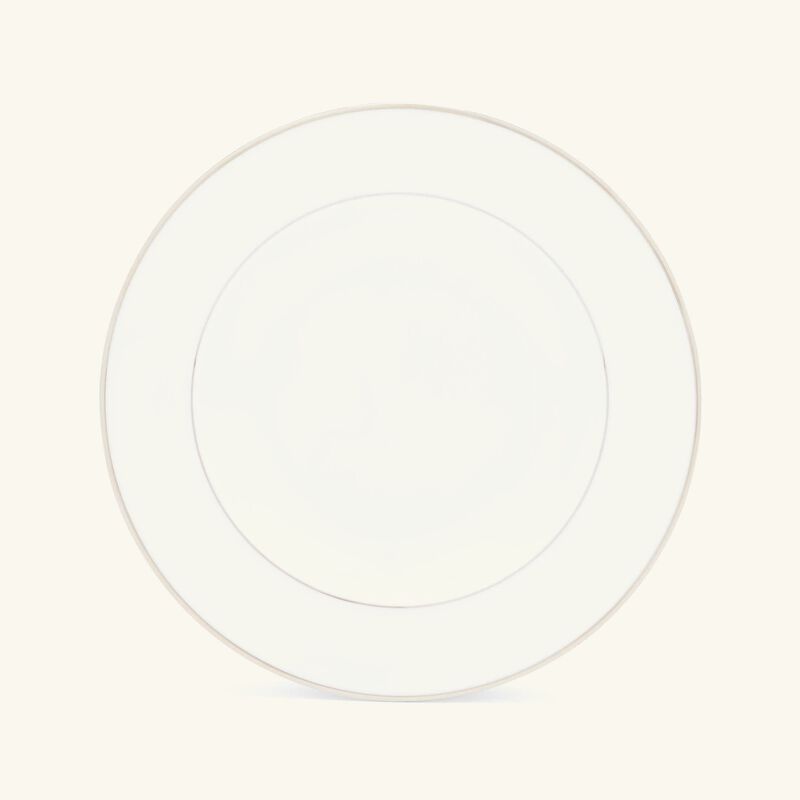 طبق الحساء آلبي باللون الفضي 23 سم كريستوفل طبق الحساء آلبي باللون الفضي 23 سم