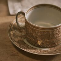 versace barocco beige tea cup   saucer