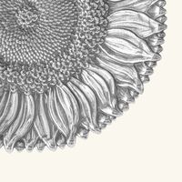 Sunflower Bowl Medioum Silver buccellati sunflower bowl medioum silver