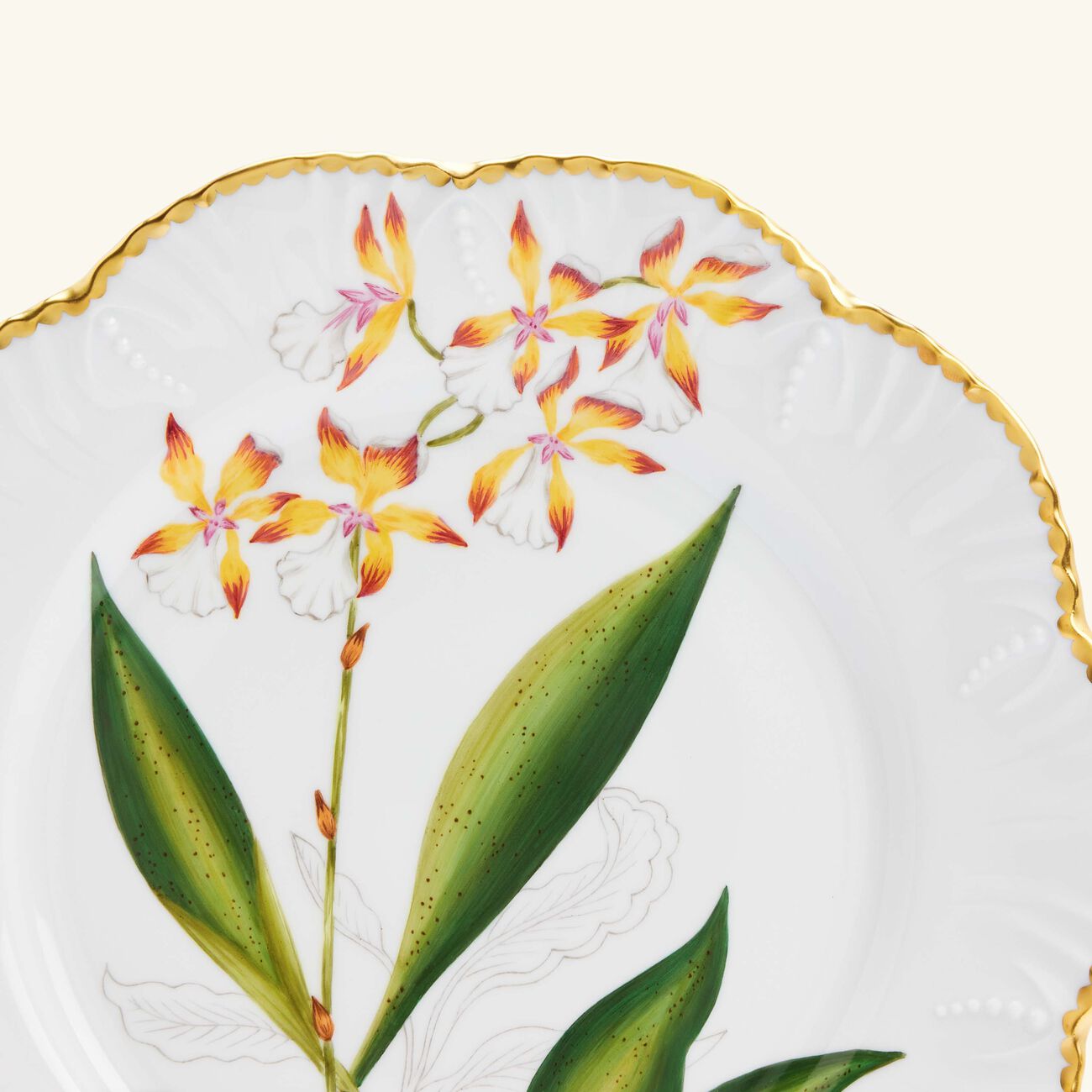 pinto paris histoires d orchidees dinner plate round white 26cm