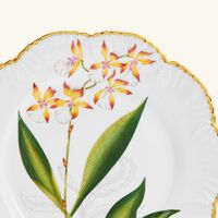 pinto paris histoires d orchidees dinner plate round white 26cm