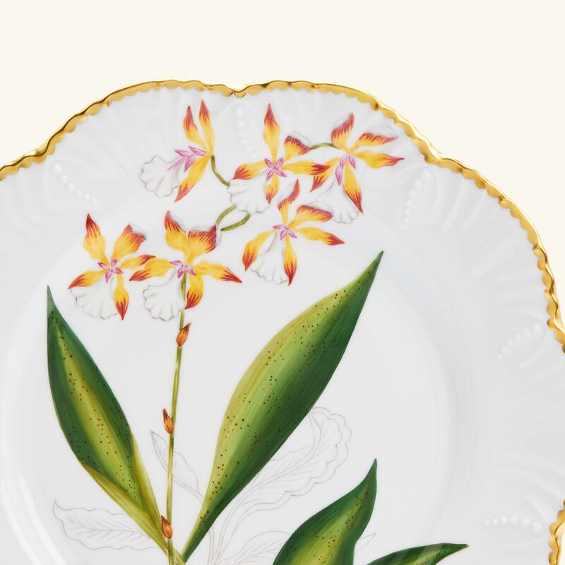 pinto paris histoires d orchidees dinner plate round white 26cm