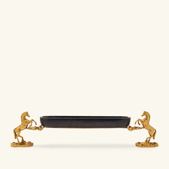 إيرا أودايبور صينية التمور أشوا ريجال