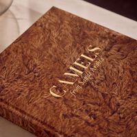 آسولين كتاب إبل المملكة العربية السعودية 48x39 سم