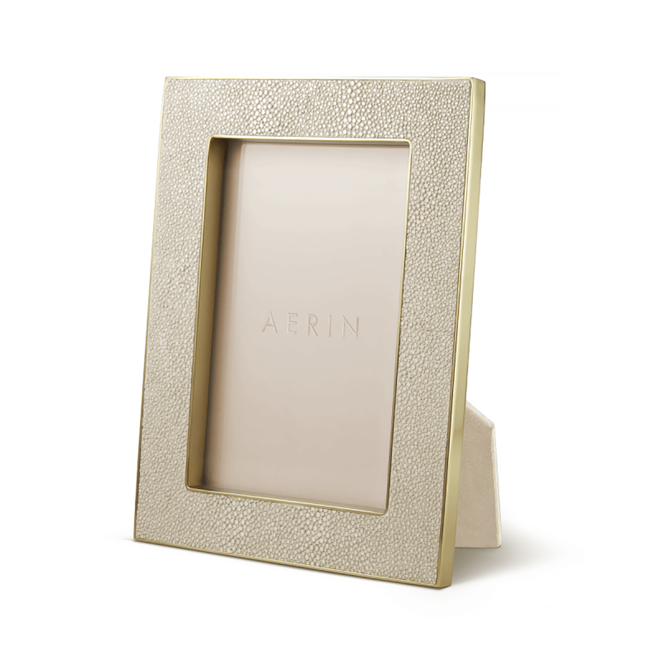 Shagreen Frame aerin shagreen frame