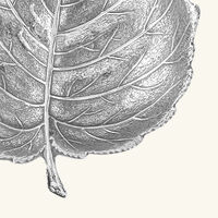 وعاء على شكل ورقة بندق بحجم صغير جدًا بوتشيلاتي وعاء على شكل ورقة بندق بحجم صغير جدًا