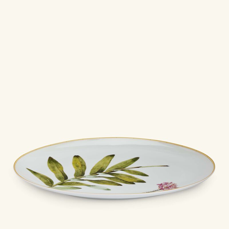bernardaud jardin indien serving platter oval white 38cm