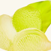 دوم منحوتة سيتروس التزيينية صفراء اللون   بالحجم المتوسط   إصدار محدود