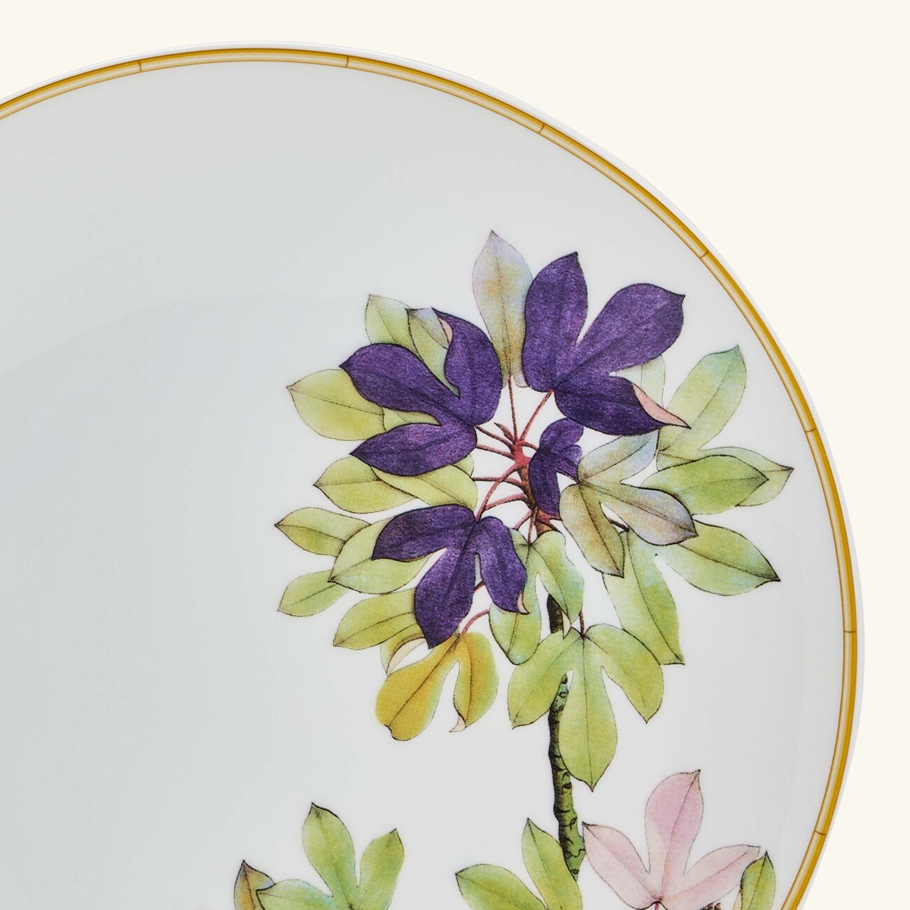 bernardaud jardin indien salad plate round white 21cm
