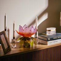 دوم مزهرية جاردان دو لوتس بالحجم المتوسط