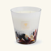 شمعة رينفورست تانجونغ ماكس 16 باوباب شمعة رينفورست تانجونغ ماكس 16