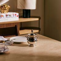 كريستوفل سكرية مالميزون باللون الفضي