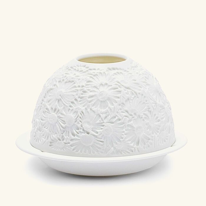 bernardaud daisies lithophanie