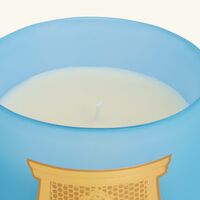 Versailles Candle 270g trudon versailles candle 270g