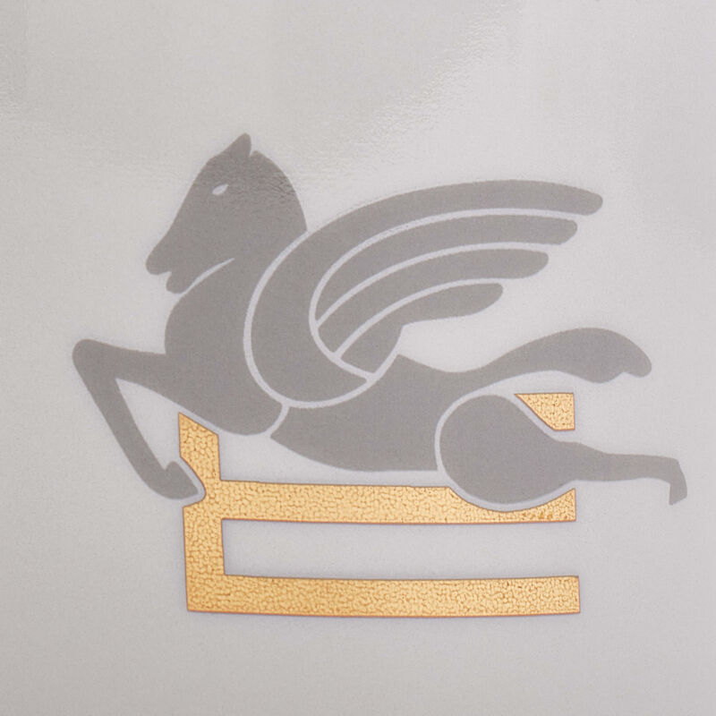 إيترو كوب بيجاسو رمادي