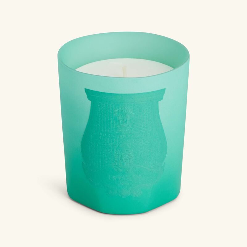 trudon under the trees candle 270g