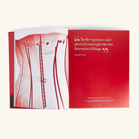 assouline valentino rosso book 39x30cm