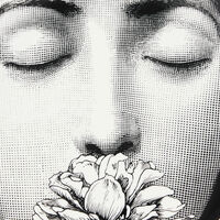 فورناسيتي طبق تزيين الجدار تيما إي فاريازيوني 393