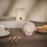 فيلاري وعاء السكر توليب وردي